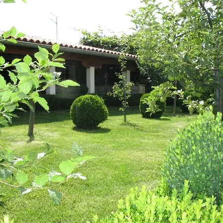 Apartment Pokrajac Rovinjsko Selo Exterior photo
